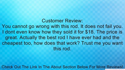 DAIWA Wilderness Downrigger Rod Review