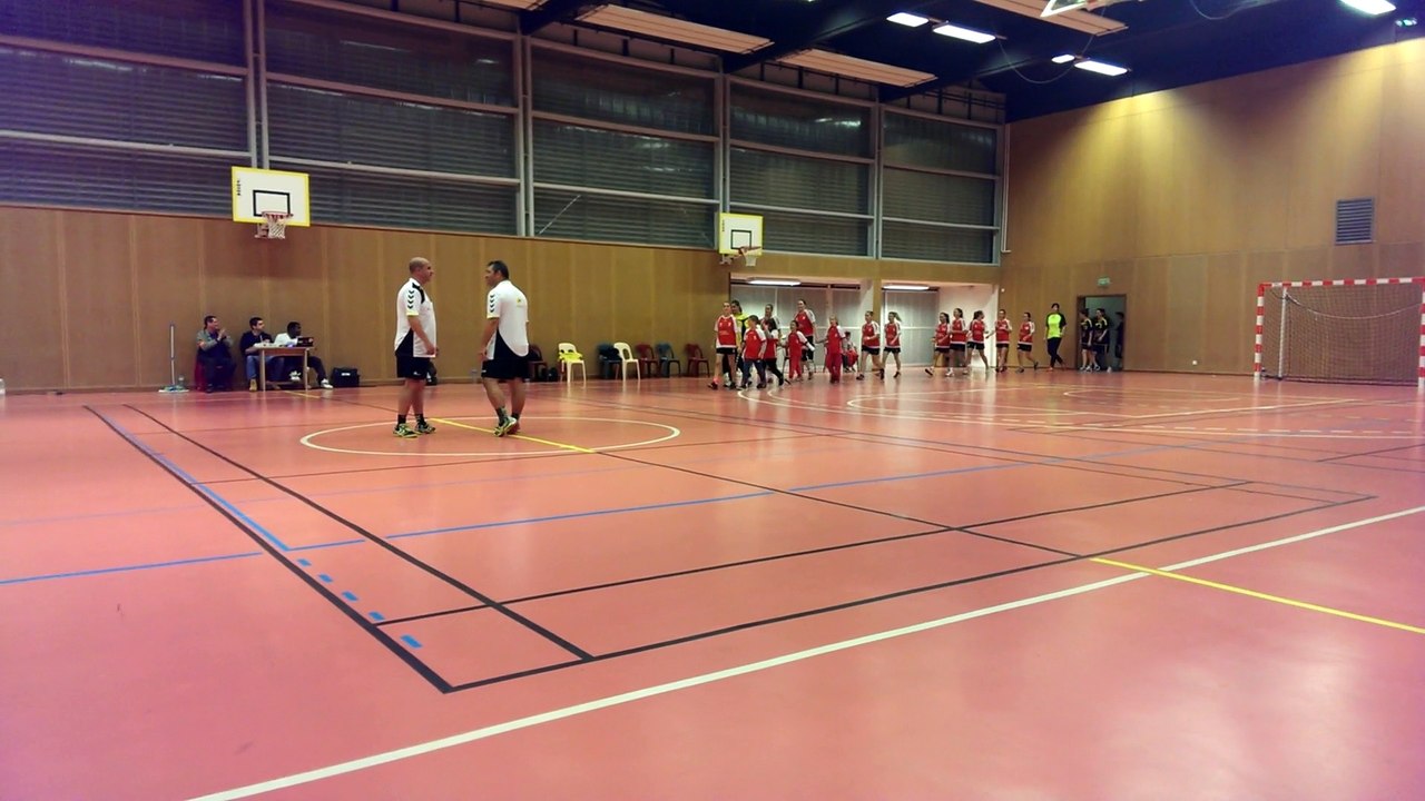 Entrée Séniors Filles match : Lahb-Pays de Trie du 08 novembre 2014