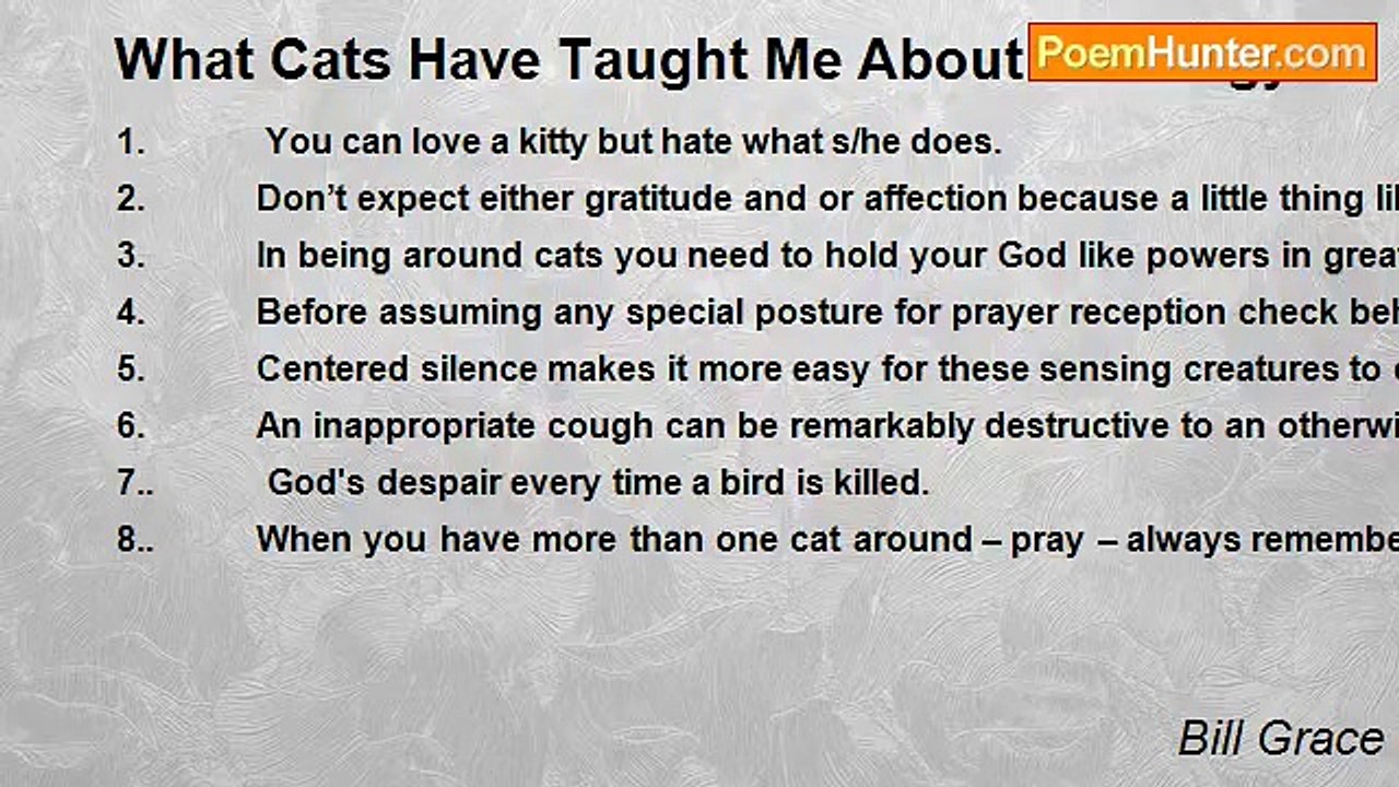 Bill Grace - What Cats Have Taught Me About Theology