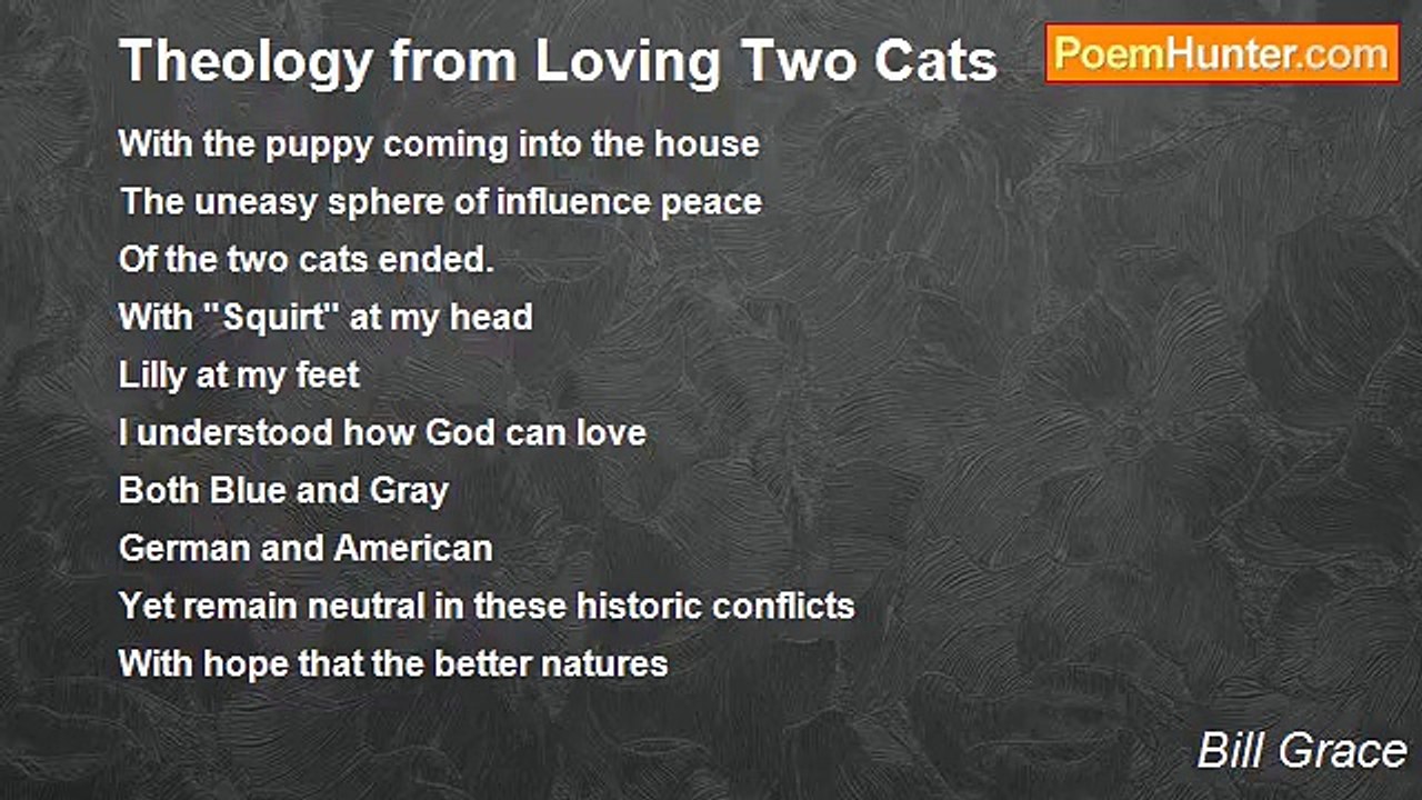 Bill Grace - Theology from Loving Two Cats