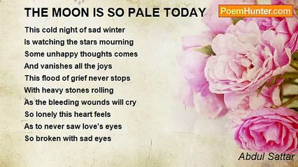 Abdul Sattar - THE MOON IS SO PALE TODAY