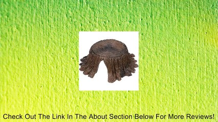 Conceptual Creations Tree Stump Reptile Hideaway Review