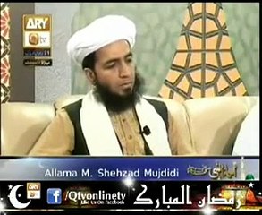 Pir Syed Muhammad Ali Raza Bukhari Alsaifi on QTV ARY Program (31-7-2013)