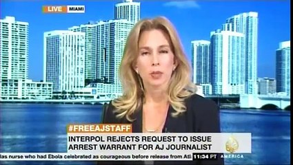 Miami Interpol Attorney - Red Notice Lawyer