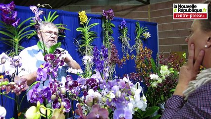VIDEO. Gençay (86) : le Salon des orchidées en met plein la vue