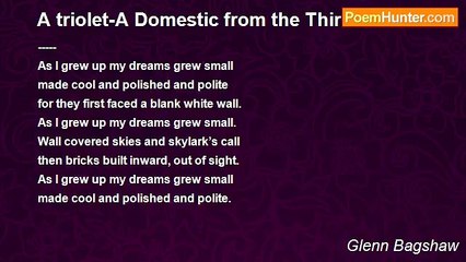 Glenn Bagshaw - A triolet-A Domestic from the Third World-