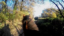 GoPro Hero4 - Sunny Rode