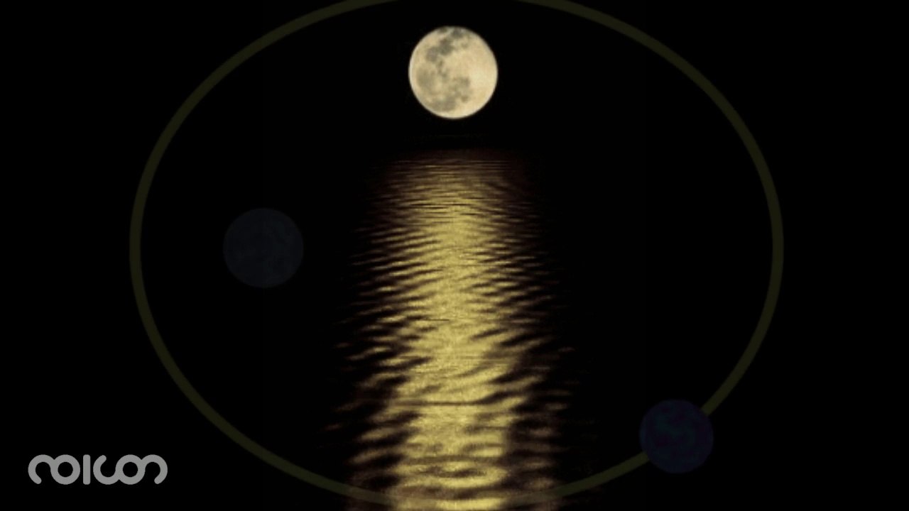 nv111_1 Lost in Music