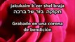 Tzipor gan eden   ציפור גן עדן   Ave del paraiso - Gad Elbaz   גד אלבז