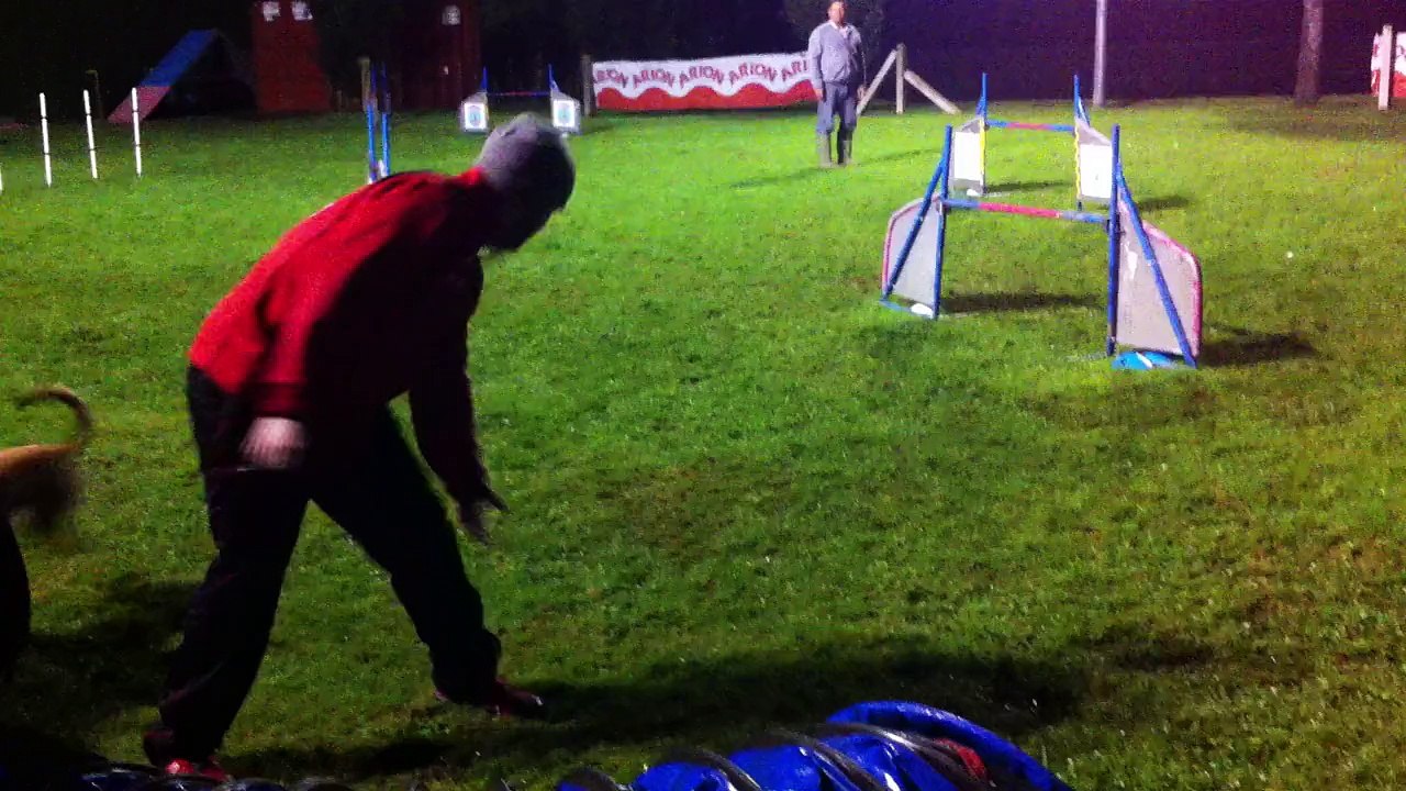 Alejandro & Lumy - ESTANDAR Grado 2 - 1ª Manga Prueba Agility RSCE [Sábado 08-11-2014 - Rais - Teo]