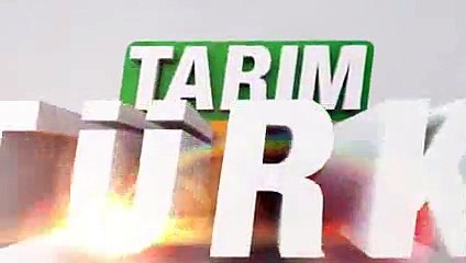 Arının Teri bugün tanıtım