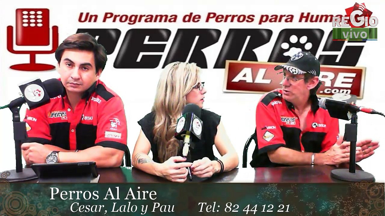PERROS CELOSOS | PAA