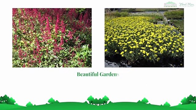 Getting An Environmentally Friendly Lawn Care Lakewood, CO Company Provides