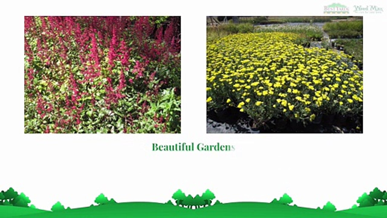 Getting An Environmentally Friendly Lawn Care Lakewood, CO Company Provides