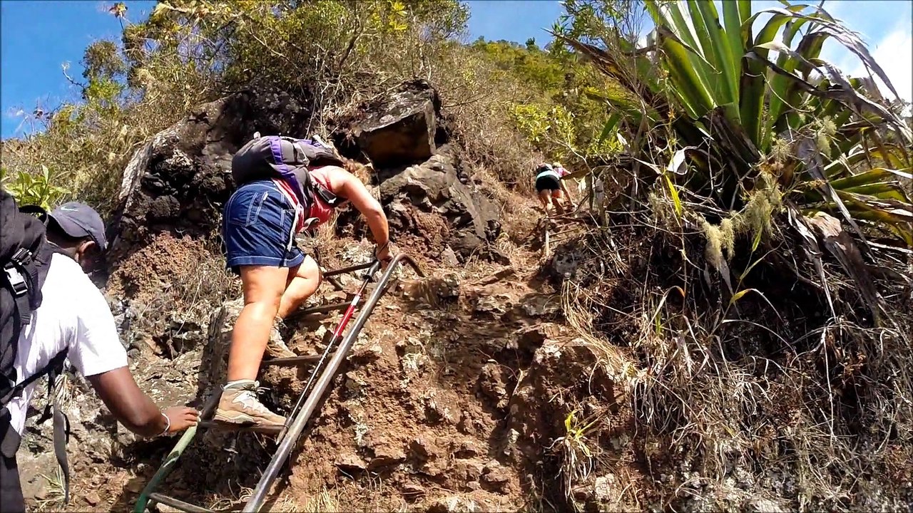 LA REUNION Randonnée Dos d'Âne - La Roche Verre Bouteille 9 novembre 2014