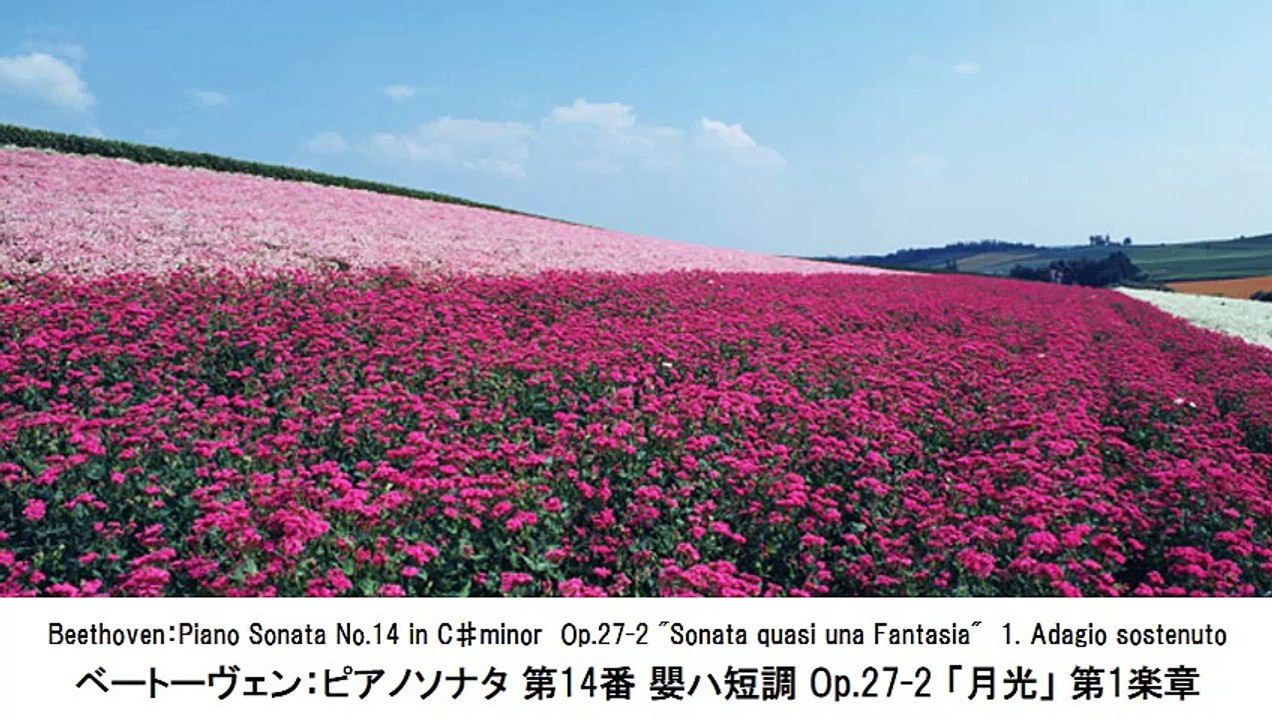 ベストクラシックミュージック-ピアノ曲 1・Best Classical Music-Piano Works 1