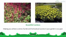 Lawn Care Services Aurora, CO Homeowners Should Try