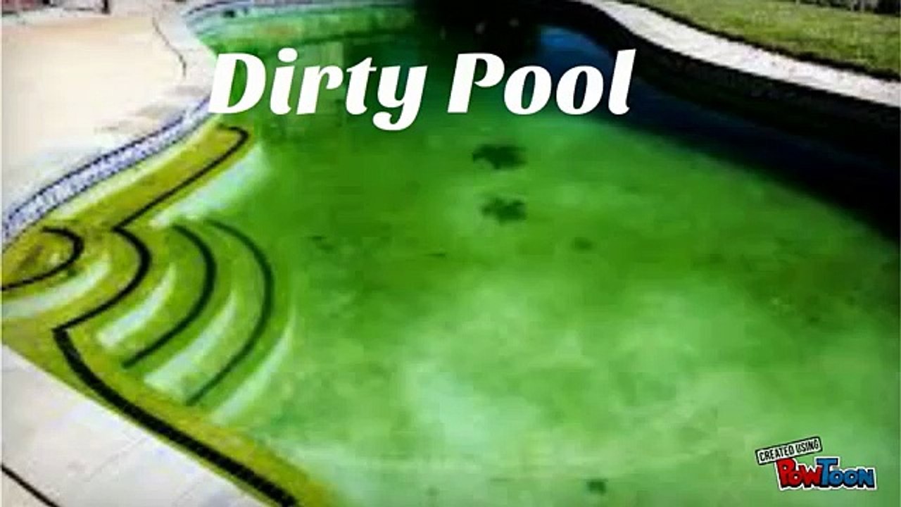 Professional Pool Maintanence