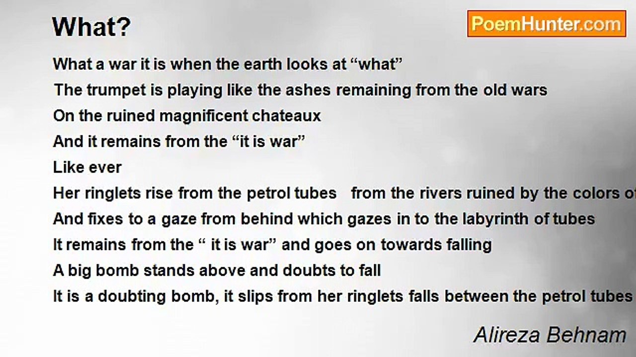 Alireza Behnam - What?