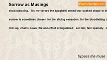 bypass the muse - Sorrow as Musings