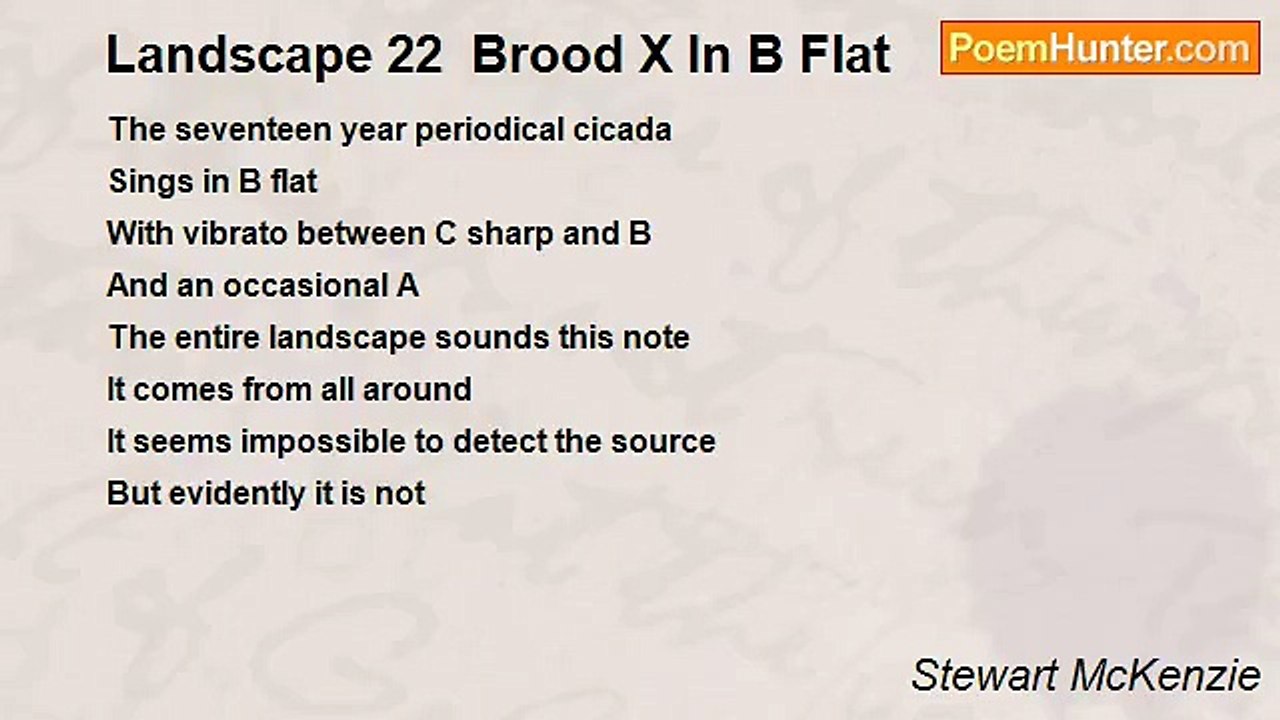 Stewart McKenzie - Landscape 22  Brood X In B Flat