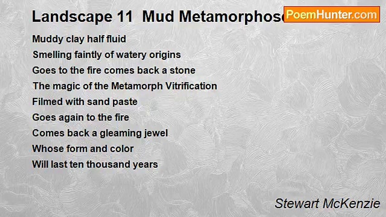 Stewart McKenzie - Landscape 11  Mud Metamorphoses