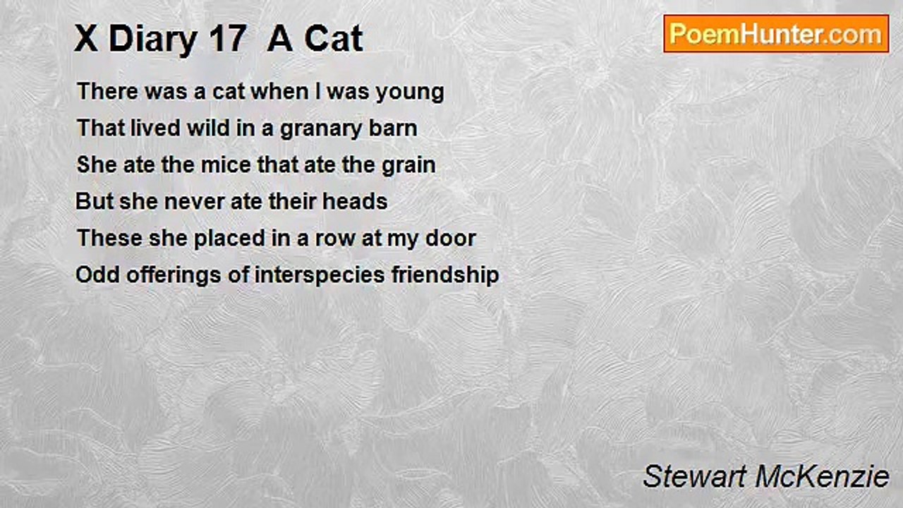 Stewart McKenzie - X Diary 17  A Cat
