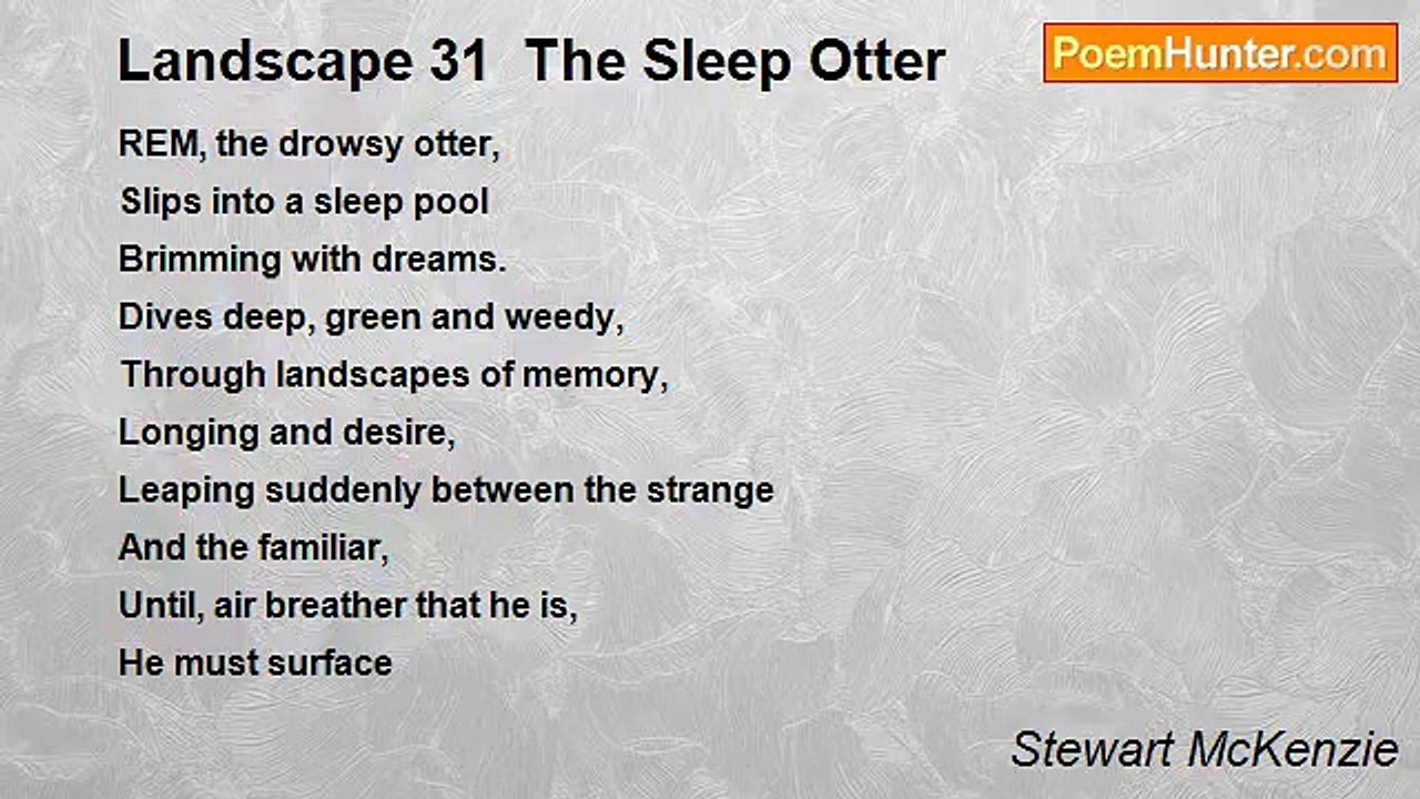 Stewart McKenzie - Landscape 31  The Sleep Otter