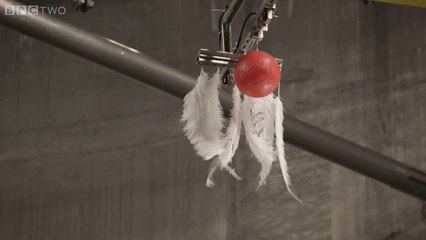 Qui va gagner ? La boule de bowling ou la plume ?