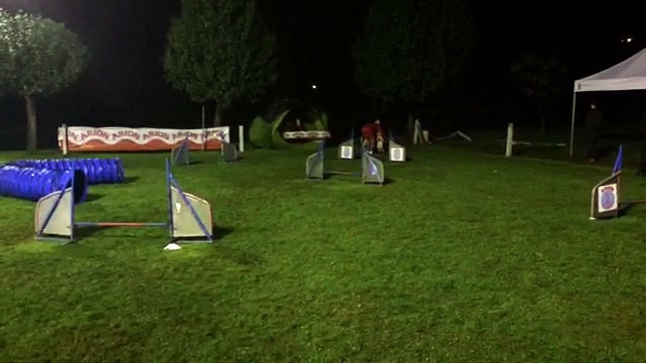 Jose y Chispa - MINI Grado 0 - 2ª Manga Prueba Agility RSCE [Sábado 08-11-2014 - Rais - Teo]