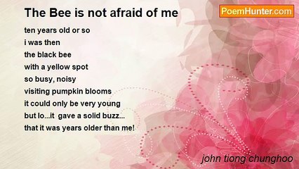 john tiong chunghoo - The Bee is not afraid of me