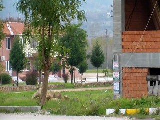 Terzialan Beldesi - Yol Tabelaları