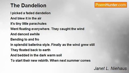 Janet L. Niehaus - The Dandelion