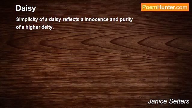 Janice Setters - Daisy