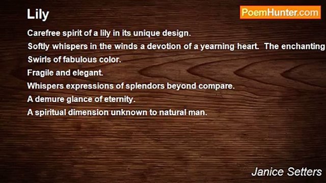 Janice Setters - Lily