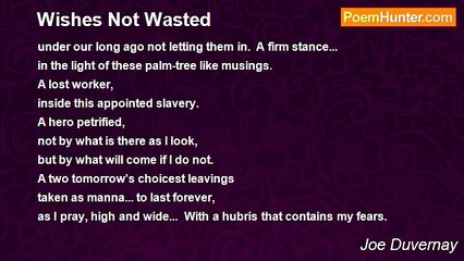 Joe Duvernay - Wishes Not Wasted