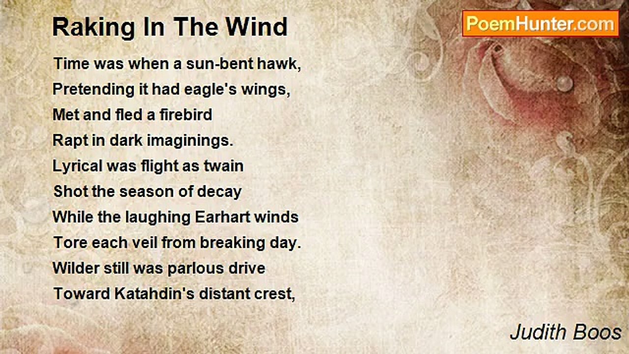 Judith Boos - Raking In The Wind