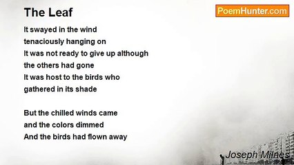 Joseph Milnes - The Leaf