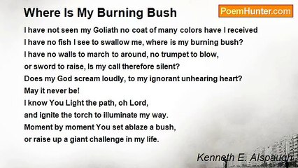 Kenneth E. Alspaugh - Where Is My Burning Bush