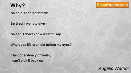 Angelic Warrior - Why?