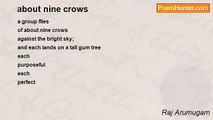 Raj Arumugam - about nine crows