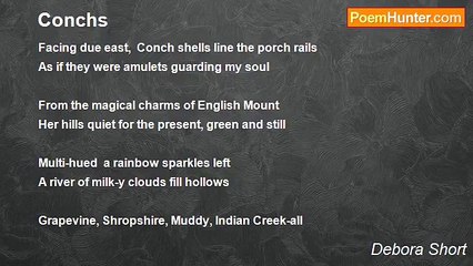 Debora Short - Conchs