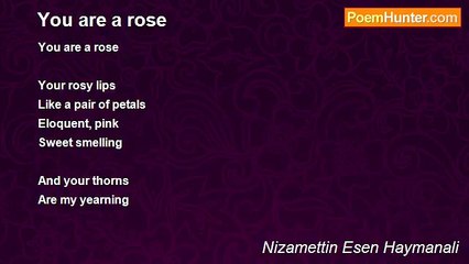 Nizamettin Esen Haymanali - You are a rose