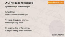 carly bachor - .♥ .The pain he caused