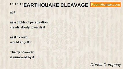 Dónall Dempsey - ' ' ' ' ' 'EARTHQUAKE CLEAVAGE