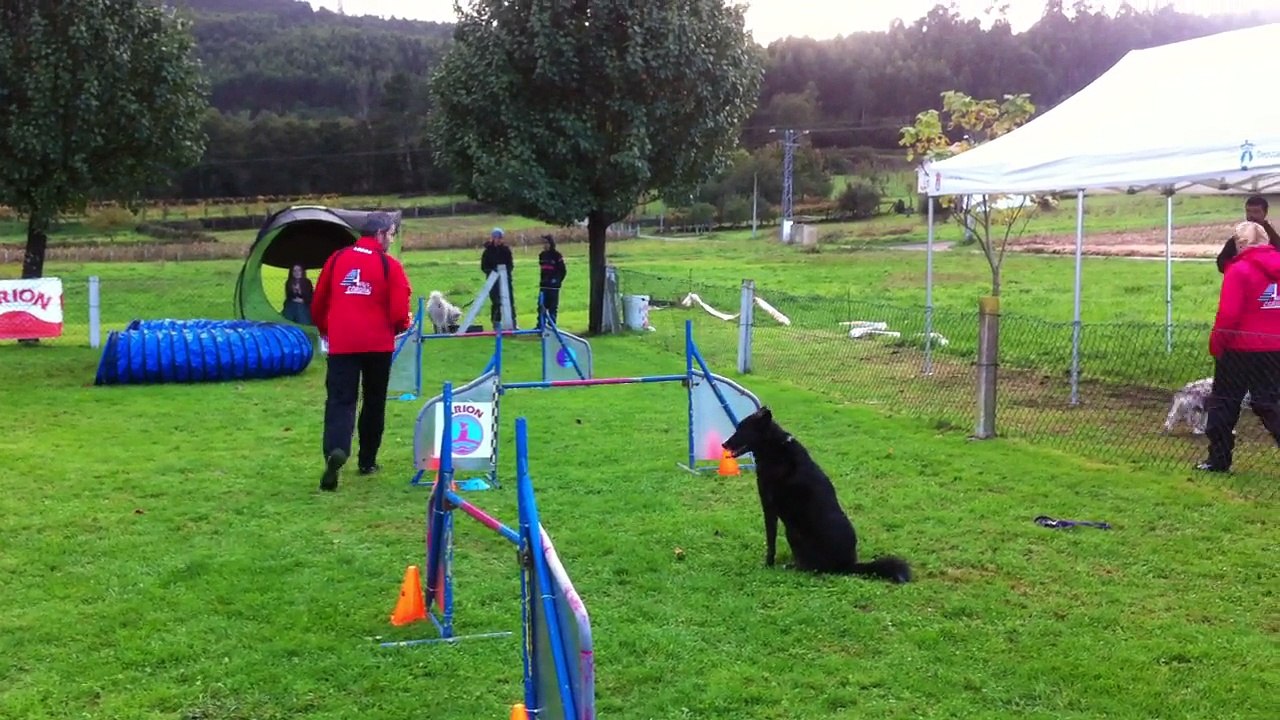 Juan & Candela - ESTANDAR Grado 1 - 2ª Manga Prueba Agility RSCE [Sábado 08-11-2014 - Rais - Teo]