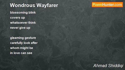 Ahmad Shiddiqi - Wondrous Wayfarer