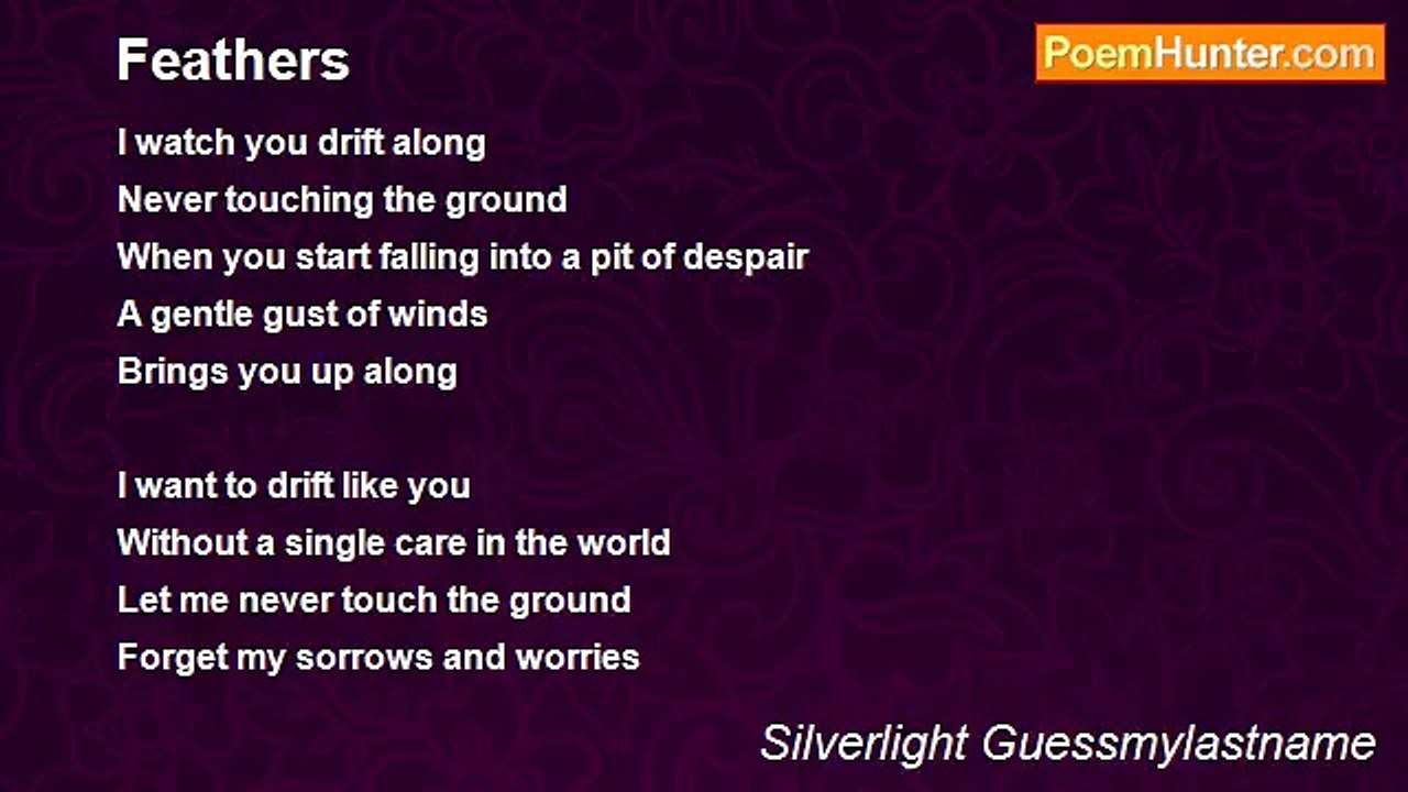 Silverlight Guessmylastname - Feathers