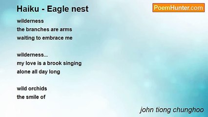 john tiong chunghoo - Haiku - Eagle nest