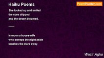 Wazir Agha - Haiku Poems